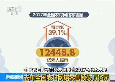 去年全国农村网络零售额破万亿大关 同比增39.1%